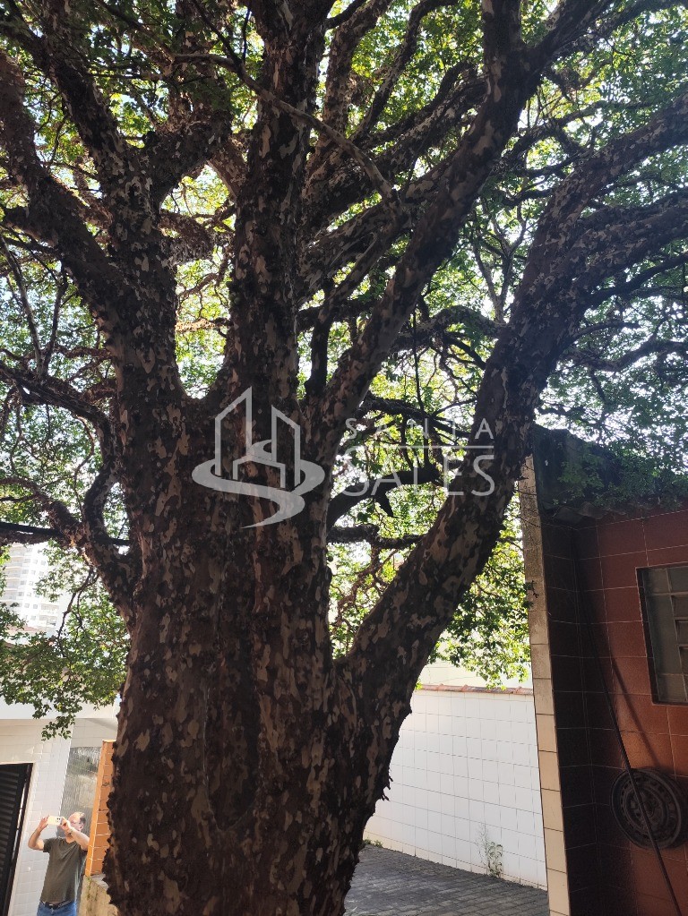 Casa, 3 quartos, 360 m² - Foto 46