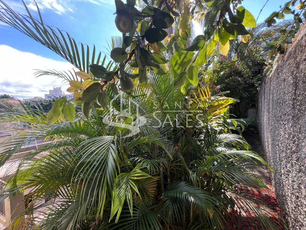 Casa, 3 quartos, 653 m² - Foto 51