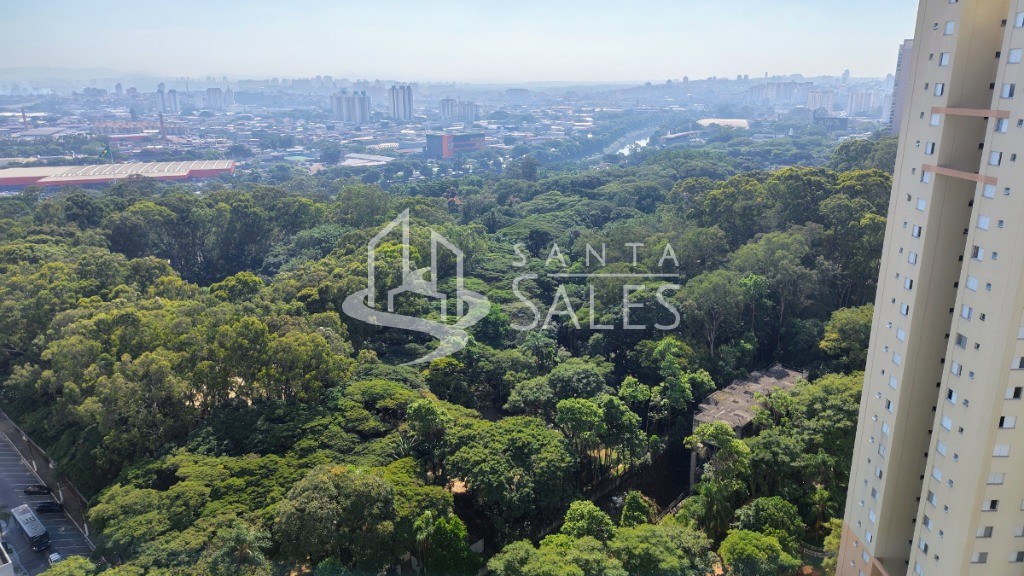 Apartamento, 3 quartos, 80 m² - Foto 79