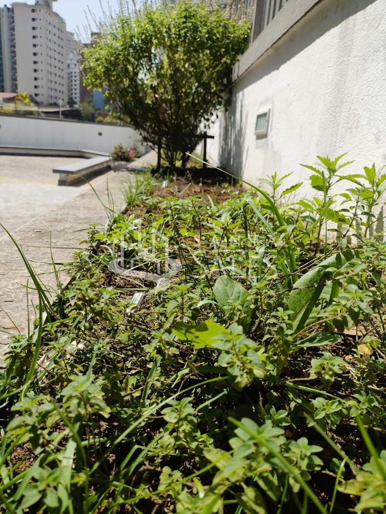Apartamento, 3 quartos, 133 m² - Foto 38
