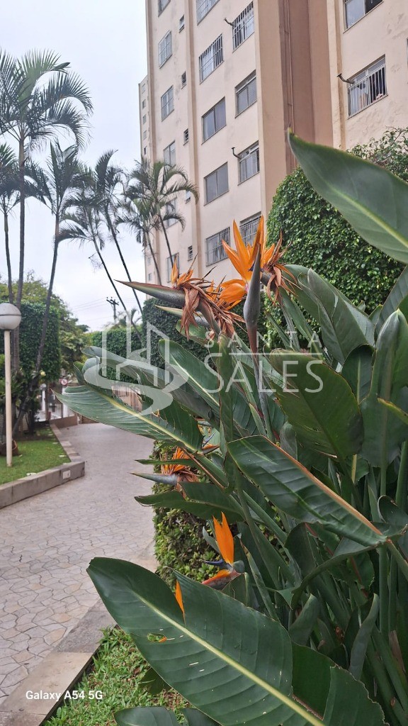 Apartamento, 2 quartos, 50 m² - Foto 9