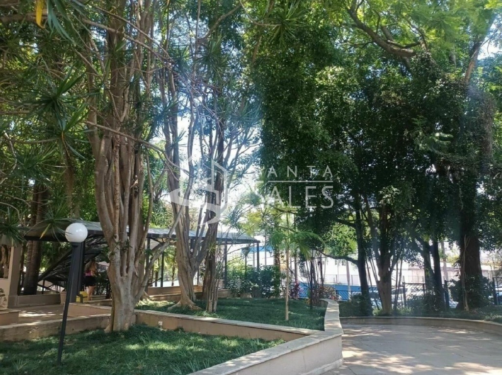 Apartamento, 3 quartos, 74 m² - Foto 47