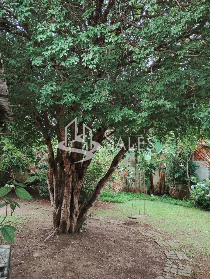 Casa, 3 quartos, 537 m² - Foto 25