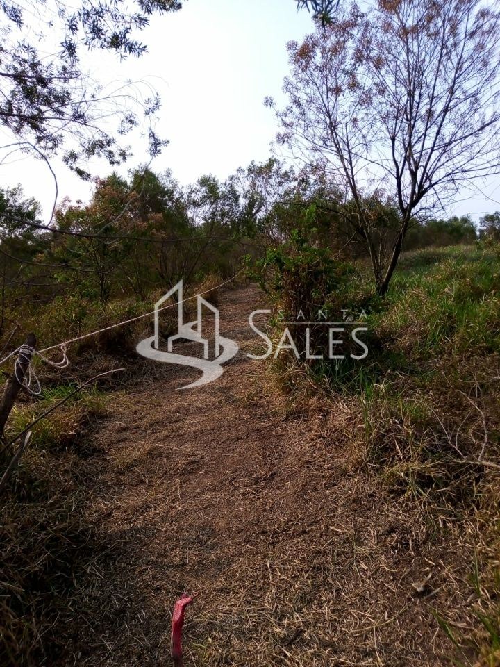 Terreno para alugar com 3 quartos, 1000m² - Foto 12