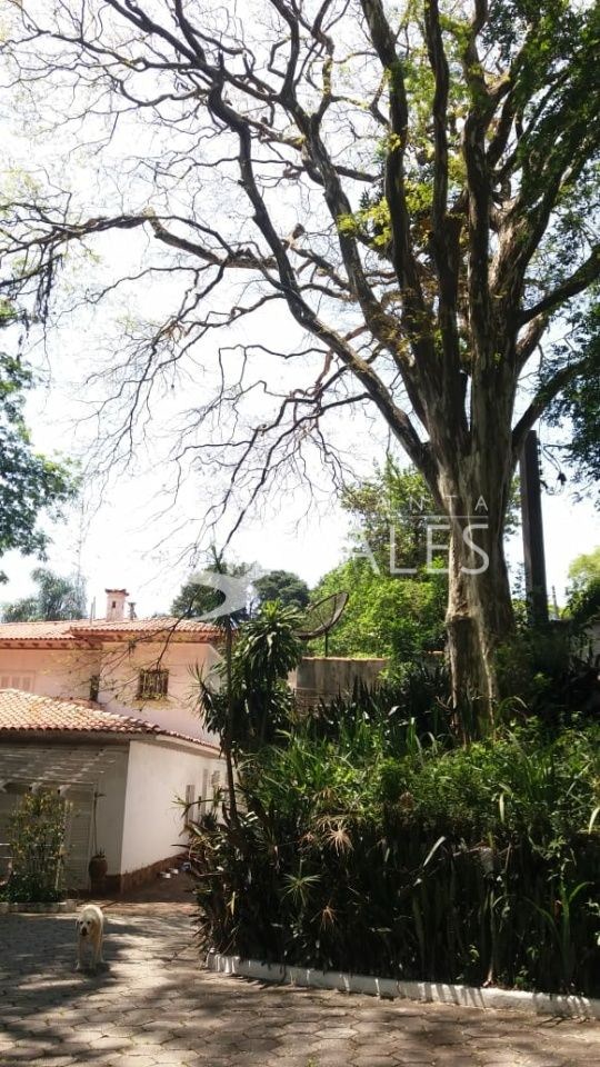 Sobrado, 4 quartos, 1300 m² - Foto 22