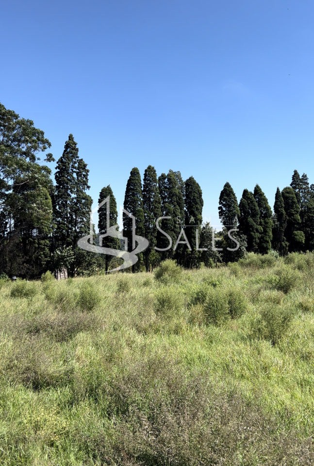 Terreno para alugar com 3 quartos, 1000m² - Foto 19