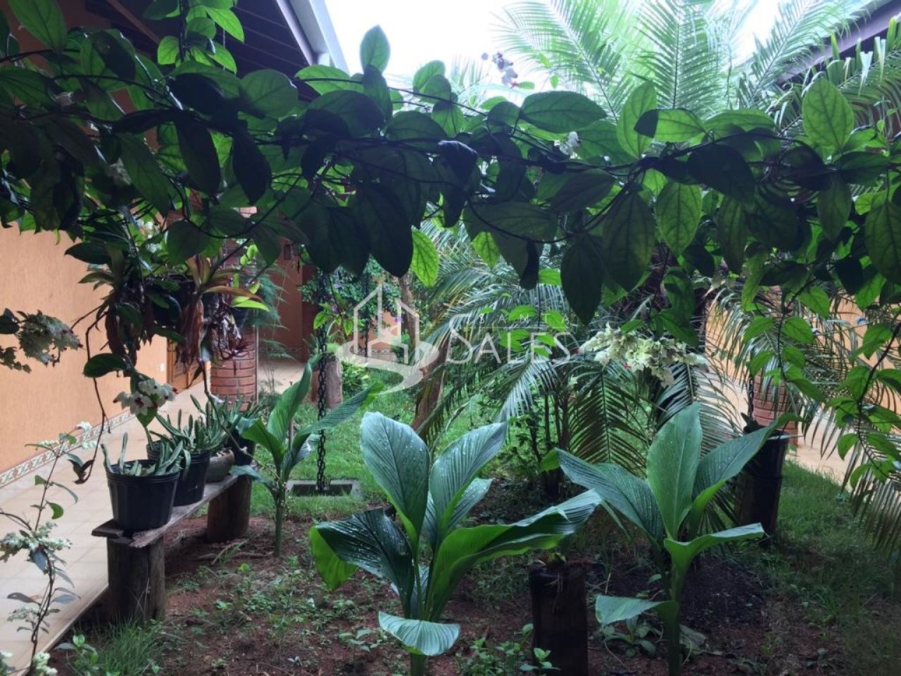 Sítio à venda com 3 quartos, 145000m² - Foto 7