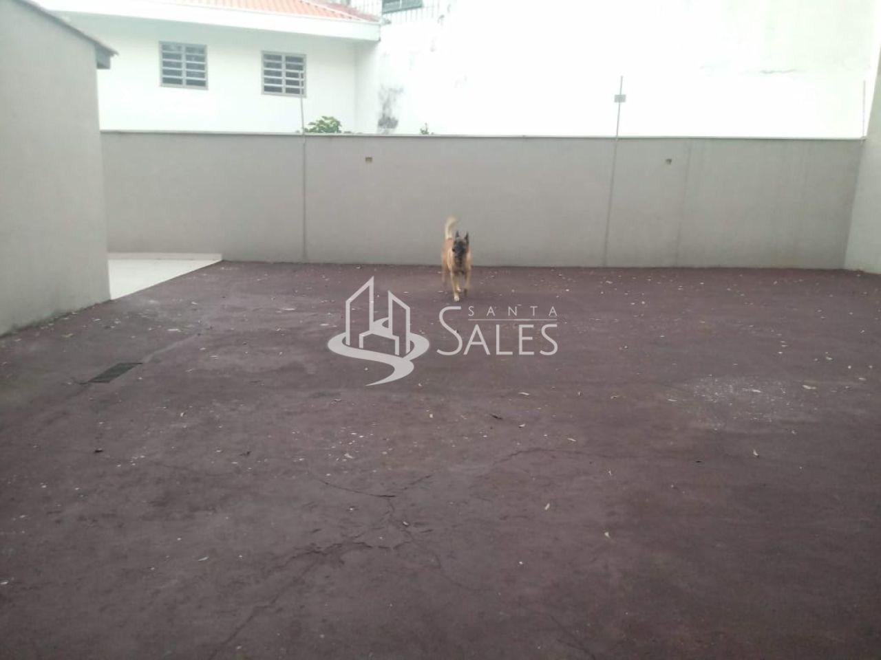 Sobrado, 4 quartos, 260 m² - Foto 6