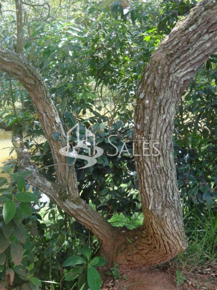 Chácara, 3 quartos, 2 hectares - Foto 23