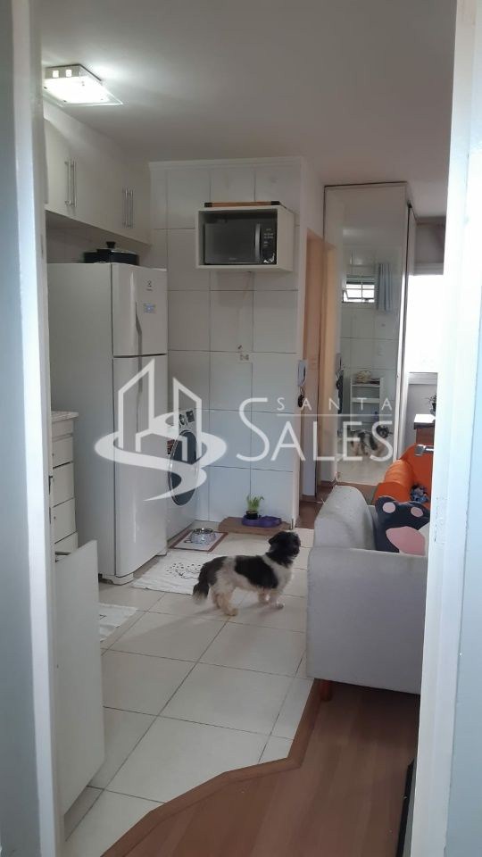 Apartamento à venda com 1 quarto, 30m² - Foto 13