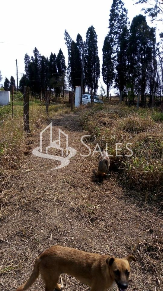 Terreno para alugar com 3 quartos, 1000m² - Foto 9