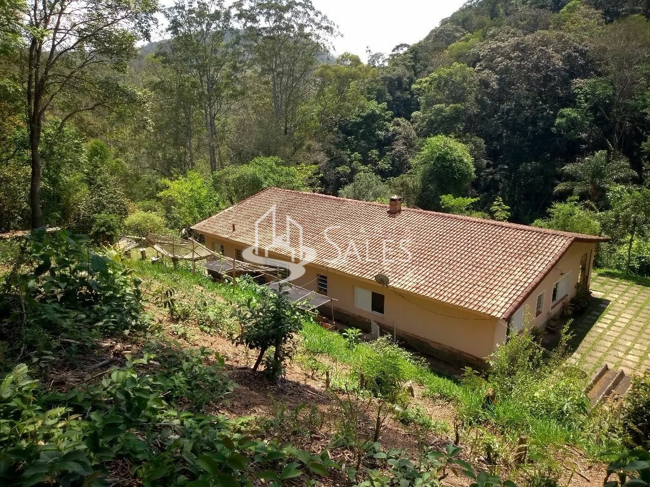 Sítio, 4 quartos, 300 m² - Foto 1