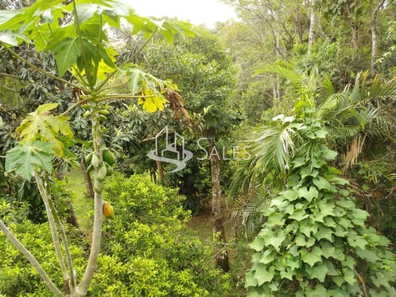 Casa de Condomínio, 6 quartos - Foto 23