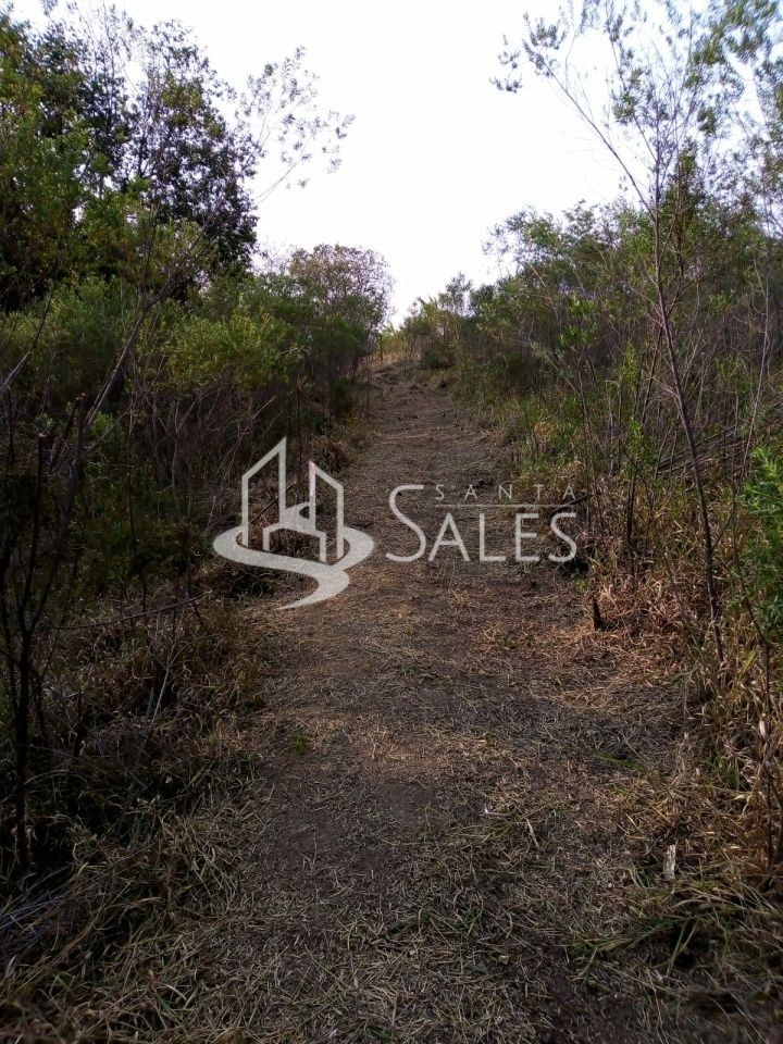 Terreno para alugar com 3 quartos, 1000m² - Foto 10