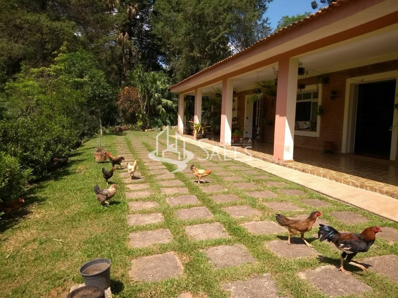 Sítio, 4 quartos, 300 m² - Foto 3