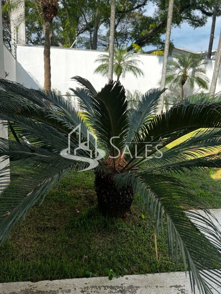 Sobrado, 3 quartos, 850 m² - Foto 42