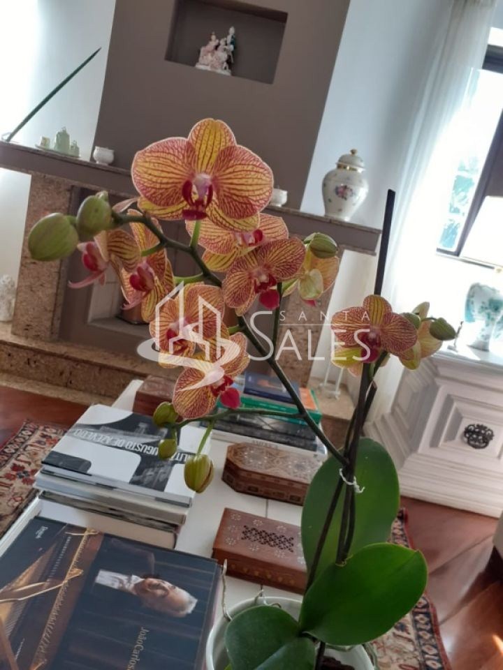 Apartamento, 4 quartos, 218 m² - Foto 7
