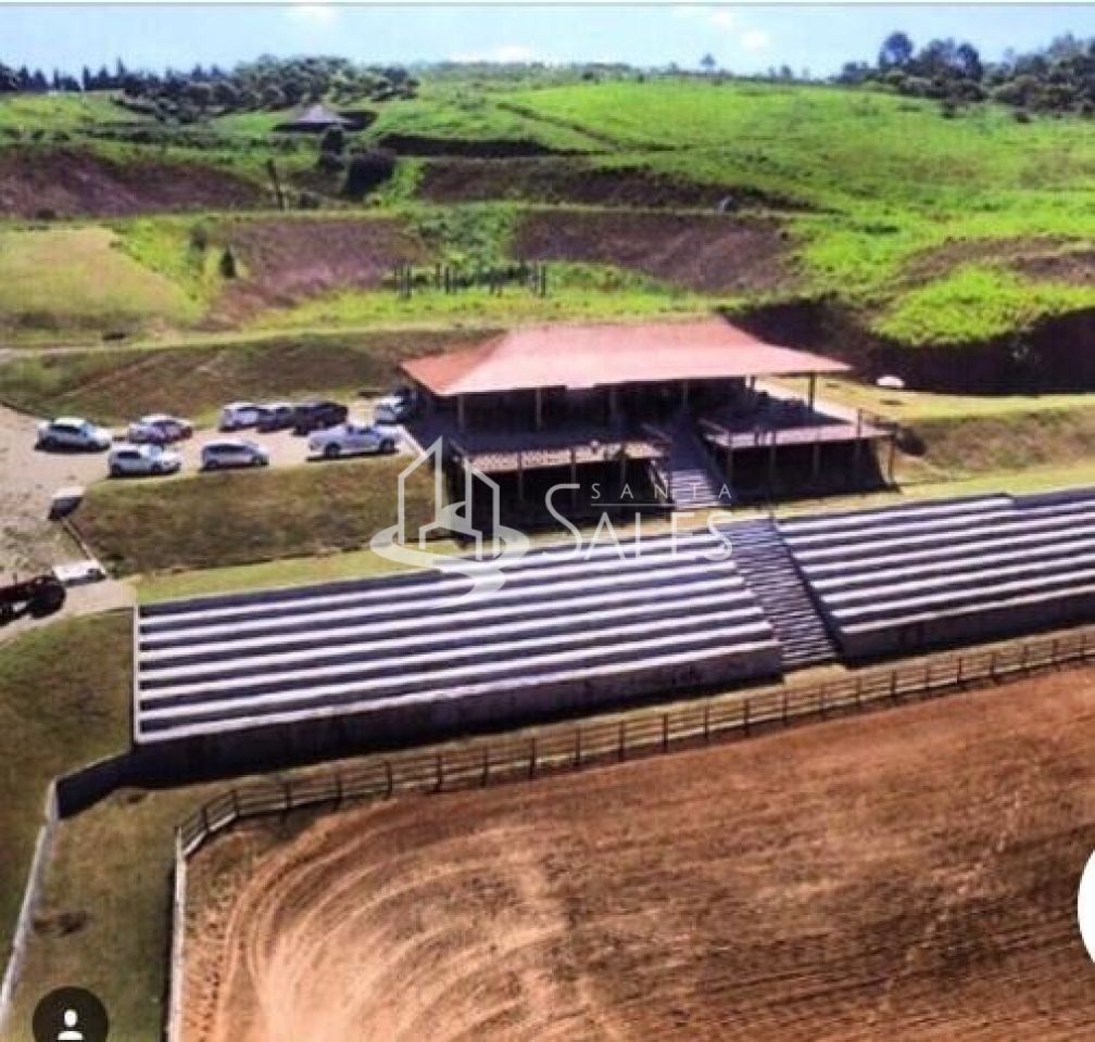 Terreno à venda com 5 quartos, 2000m² - Foto 5