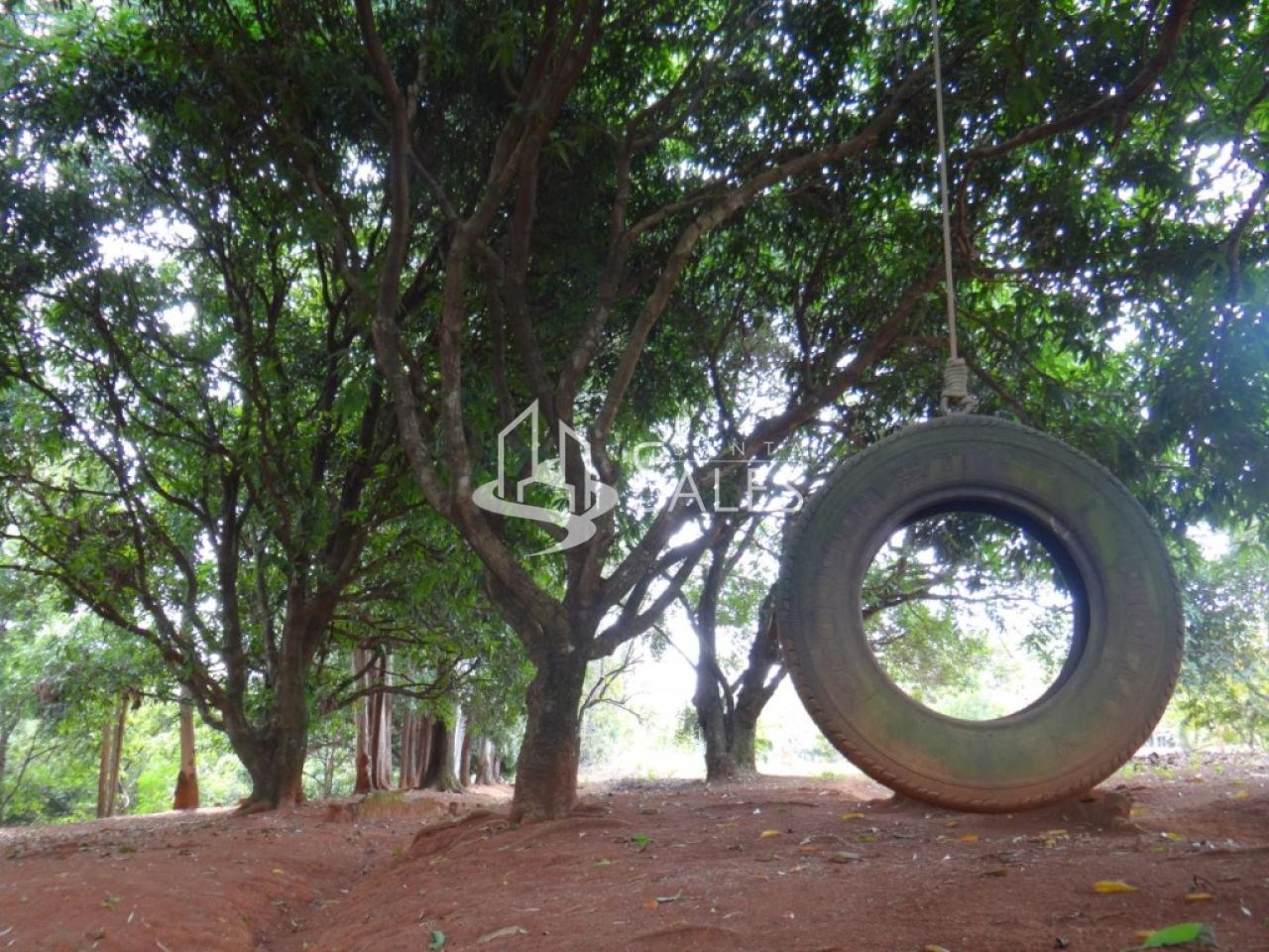 Chácara, 3 quartos, 2 hectares - Foto 26