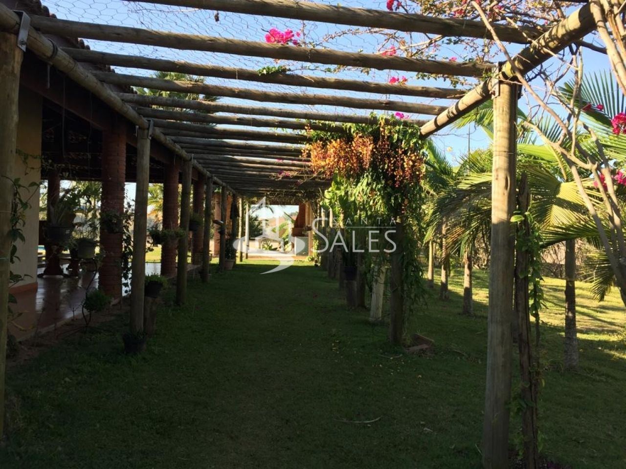 Sítio à venda com 3 quartos, 145000m² - Foto 11