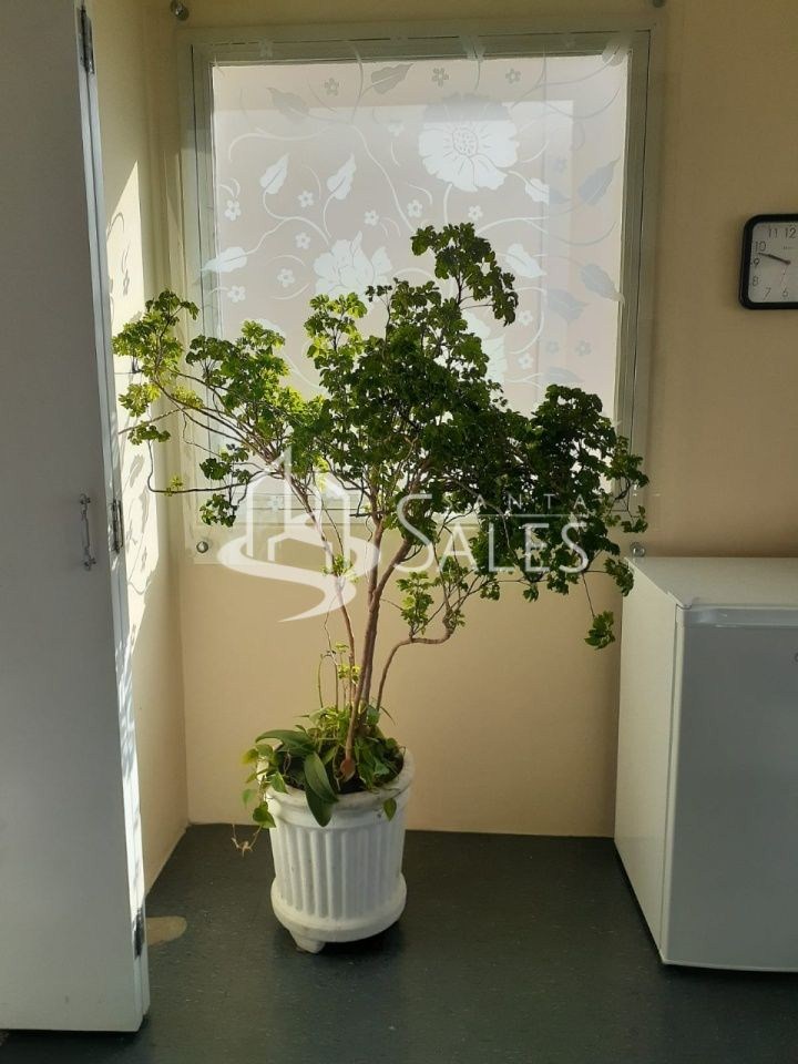 Sala-Conjunto, 44 m² - Foto 2
