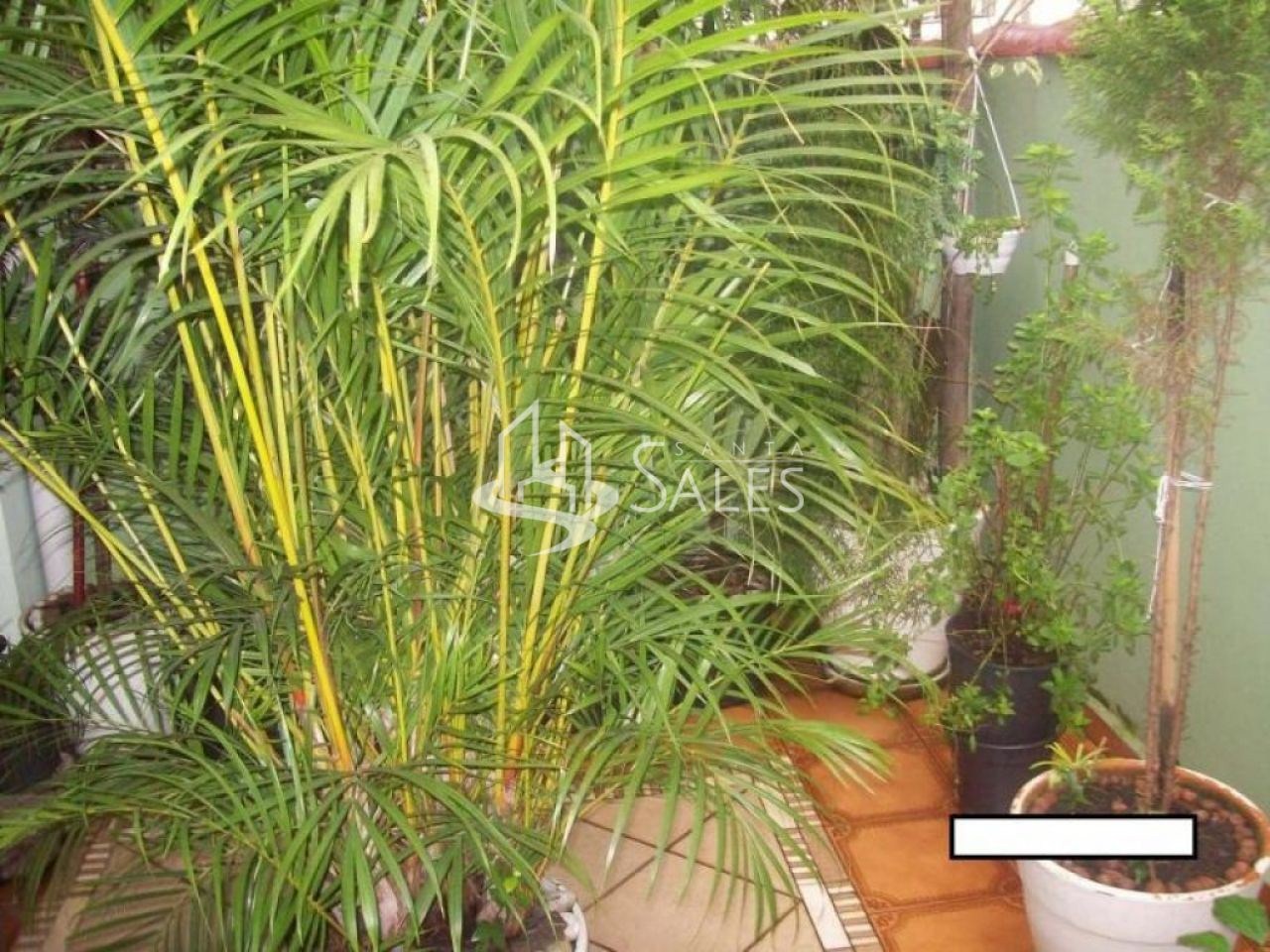 Sobrado, 3 quartos, 256 m² - Foto 74