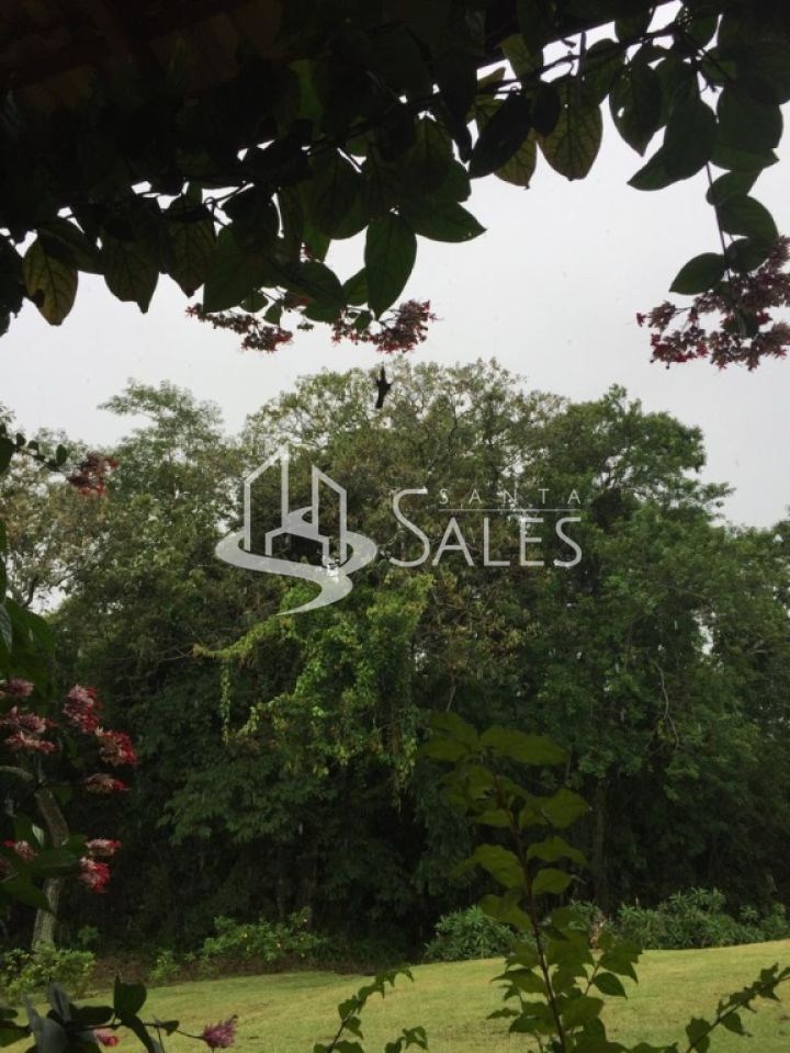 Sítio à venda com 3 quartos, 145000m² - Foto 6