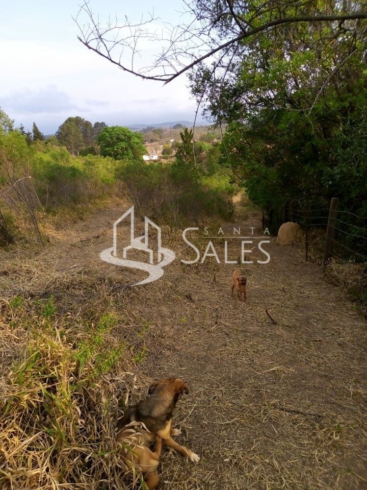 Terreno para alugar com 3 quartos, 1000m² - Foto 15