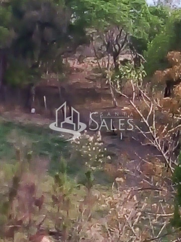 Terreno para alugar com 3 quartos, 1000m² - Foto 13