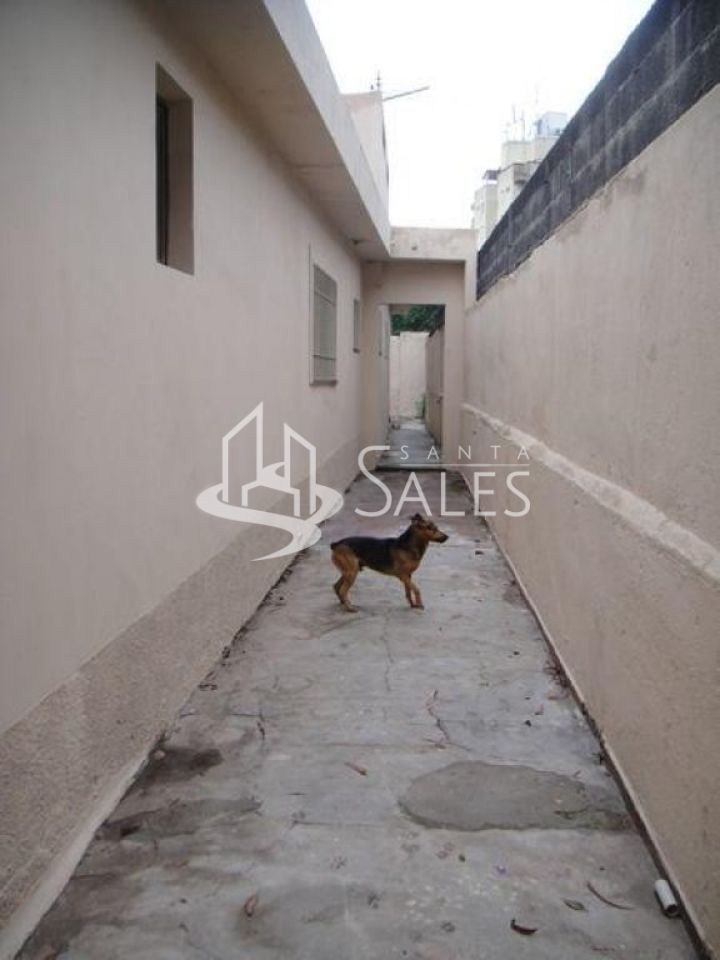 Casa, 3 quartos, 300 m² - Foto 54