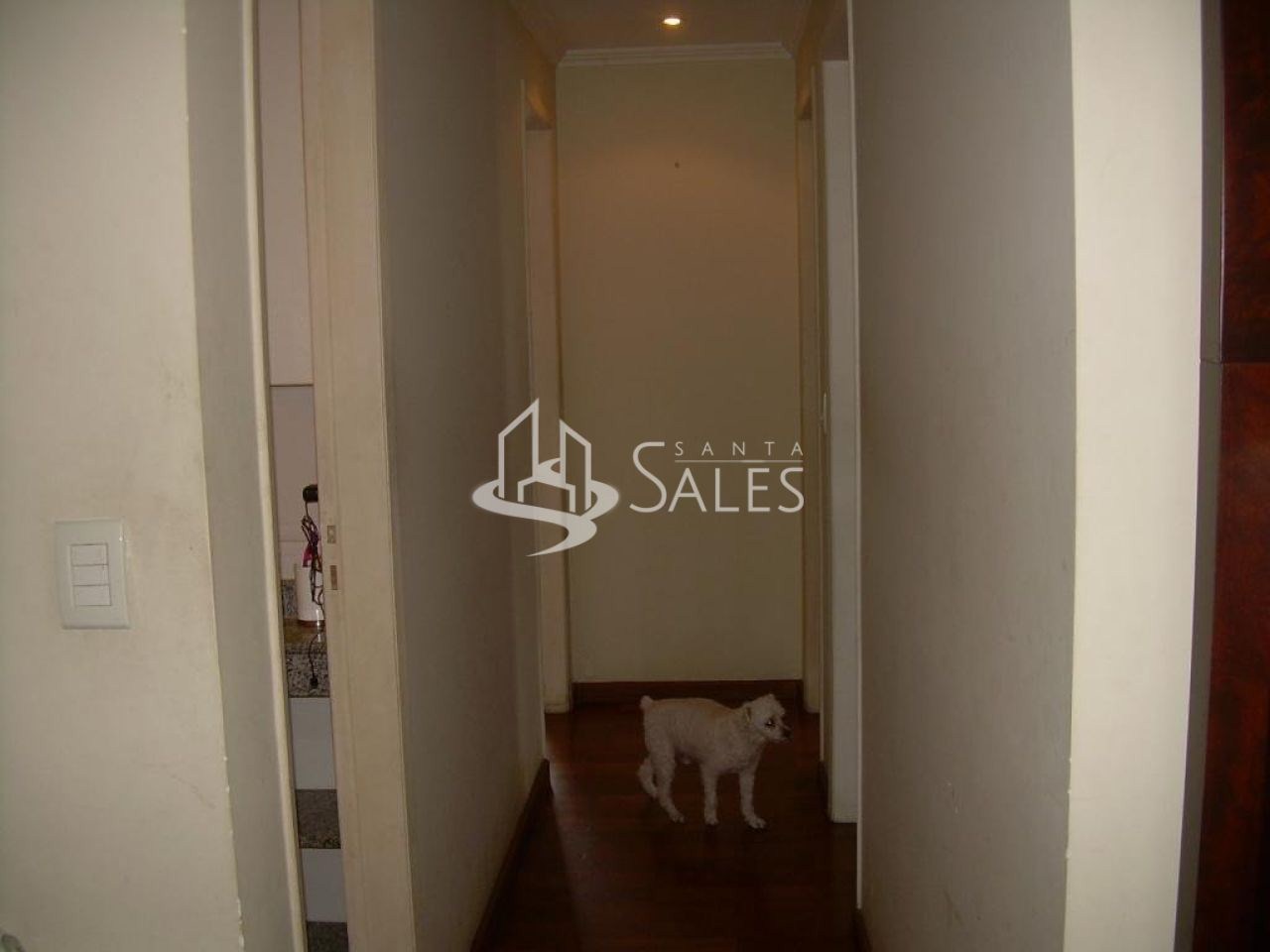 Apartamento, 3 quartos, 85 m² - Foto 1