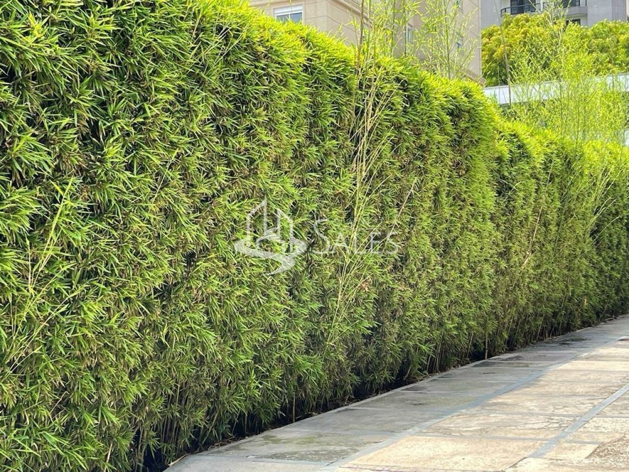 Casa, 3 quartos, 189 m² - Foto 15