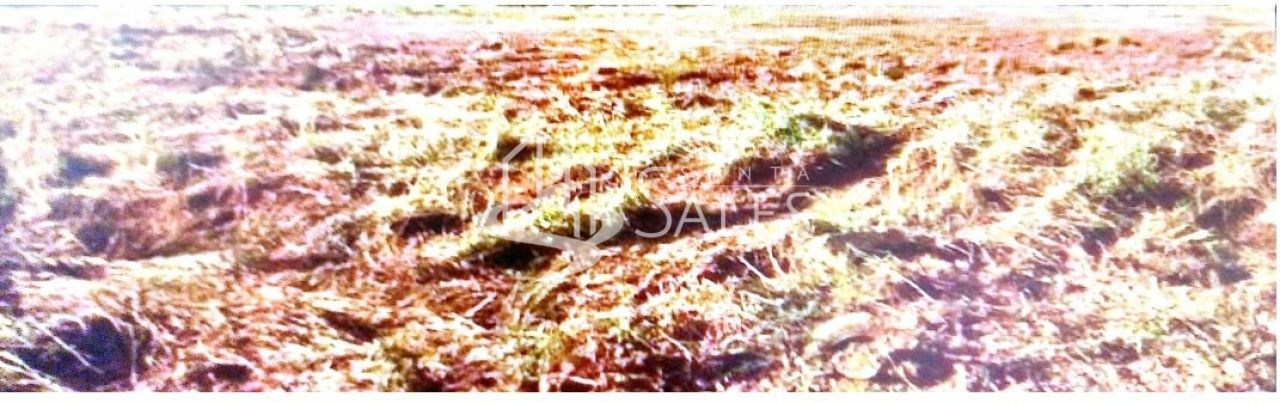 Loteamento e Condomínio - Foto 19