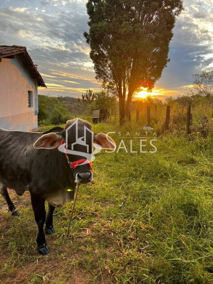 Terreno para alugar com 3 quartos, 1000m² - Foto 5
