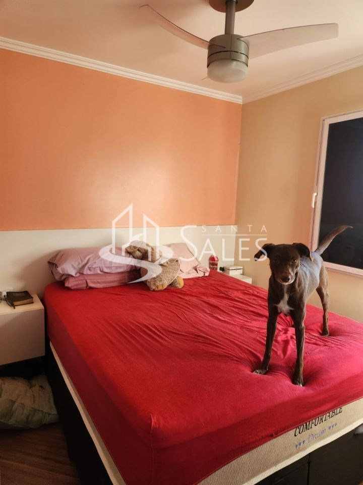 Apartamento, 3 quartos, 65 m² - Foto 6