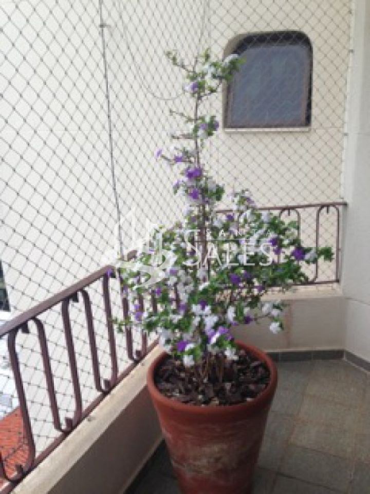 Apartamento, 4 quartos, 350 m² - Foto 14