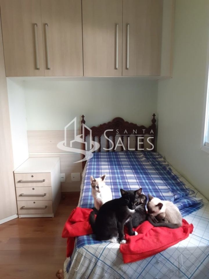 Apartamento, 3 quartos, 80 m² - Foto 6