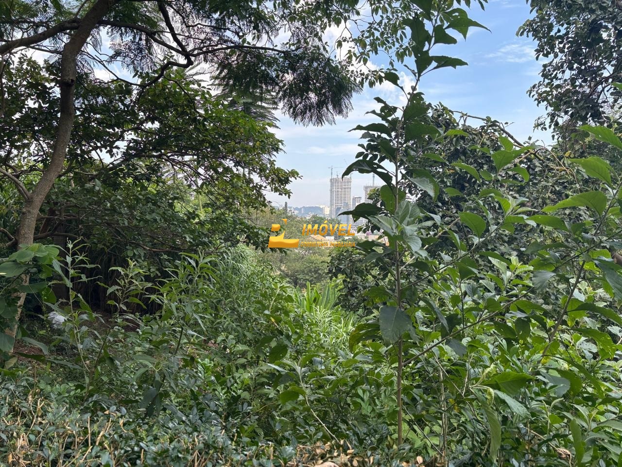 Terreno, 468 m² - Foto 7