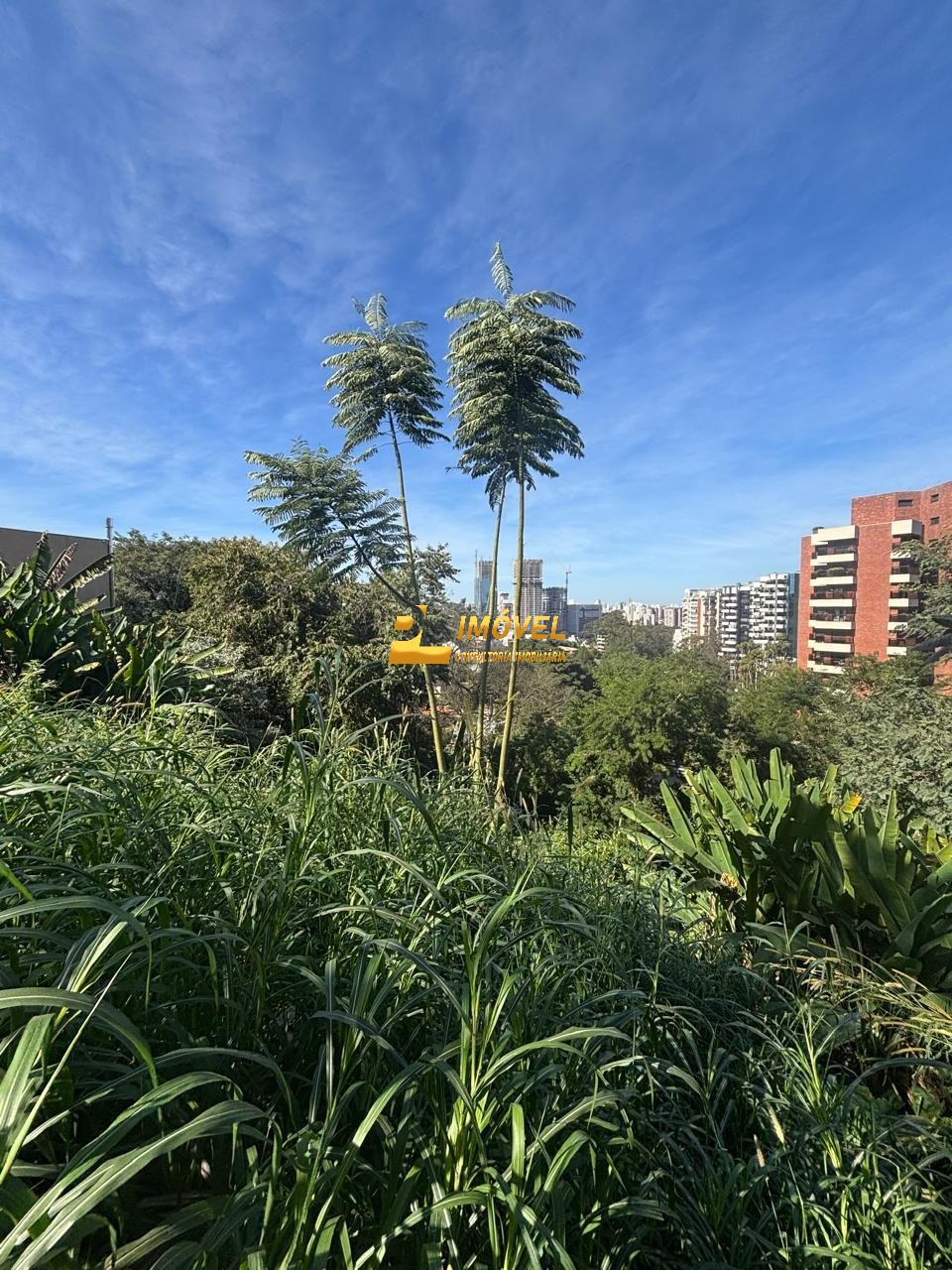 Terreno, 468 m² - Foto 9