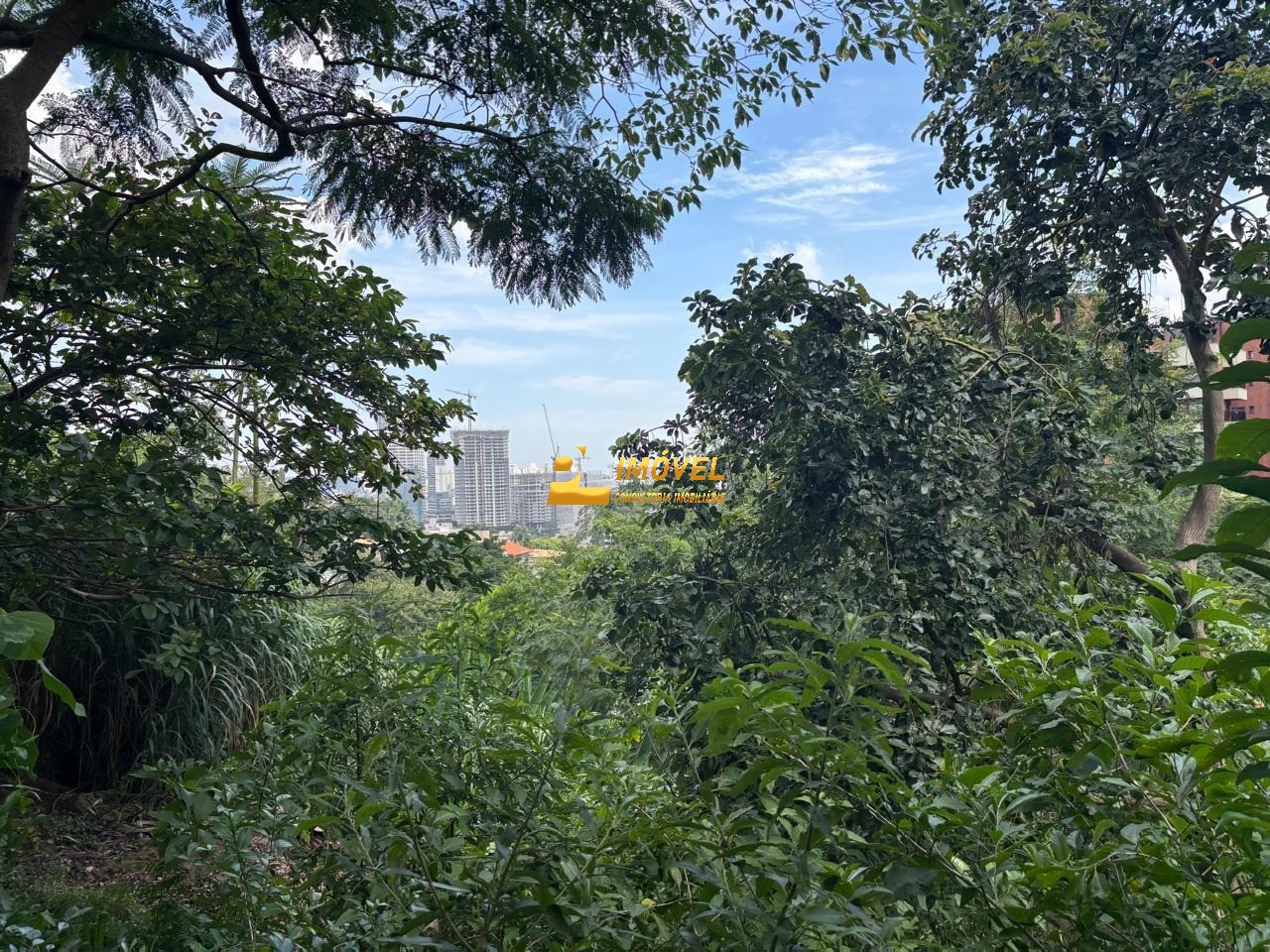 Terreno, 468 m² - Foto 6