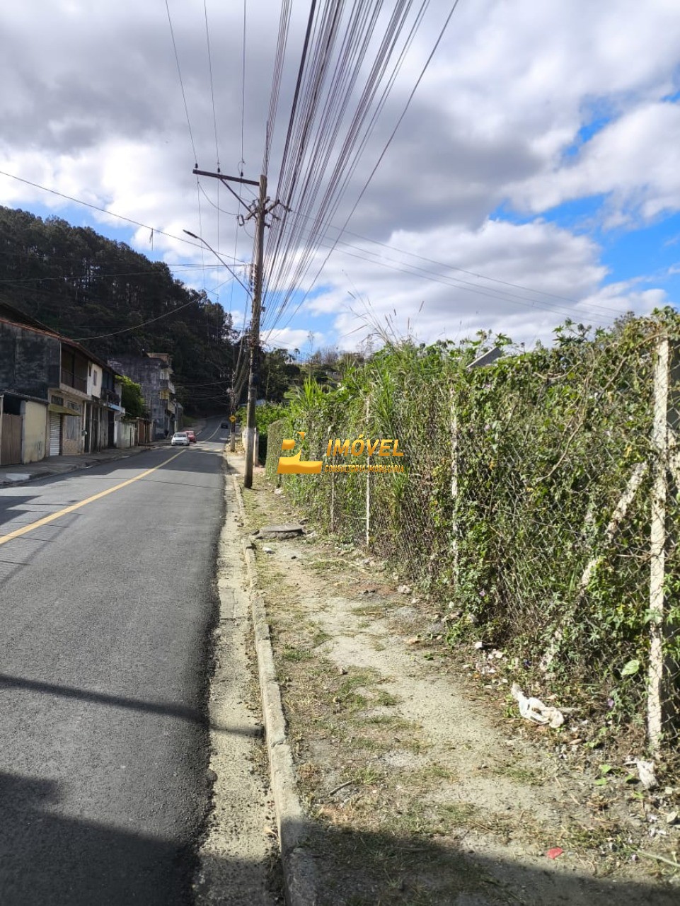 Terreno, 10000 m² - Foto 5