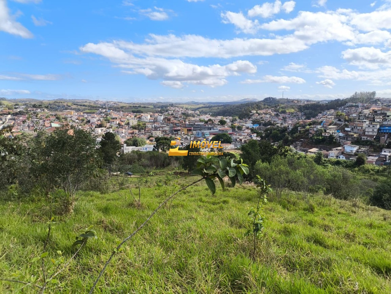 Terreno, 10000 m² - Foto 7