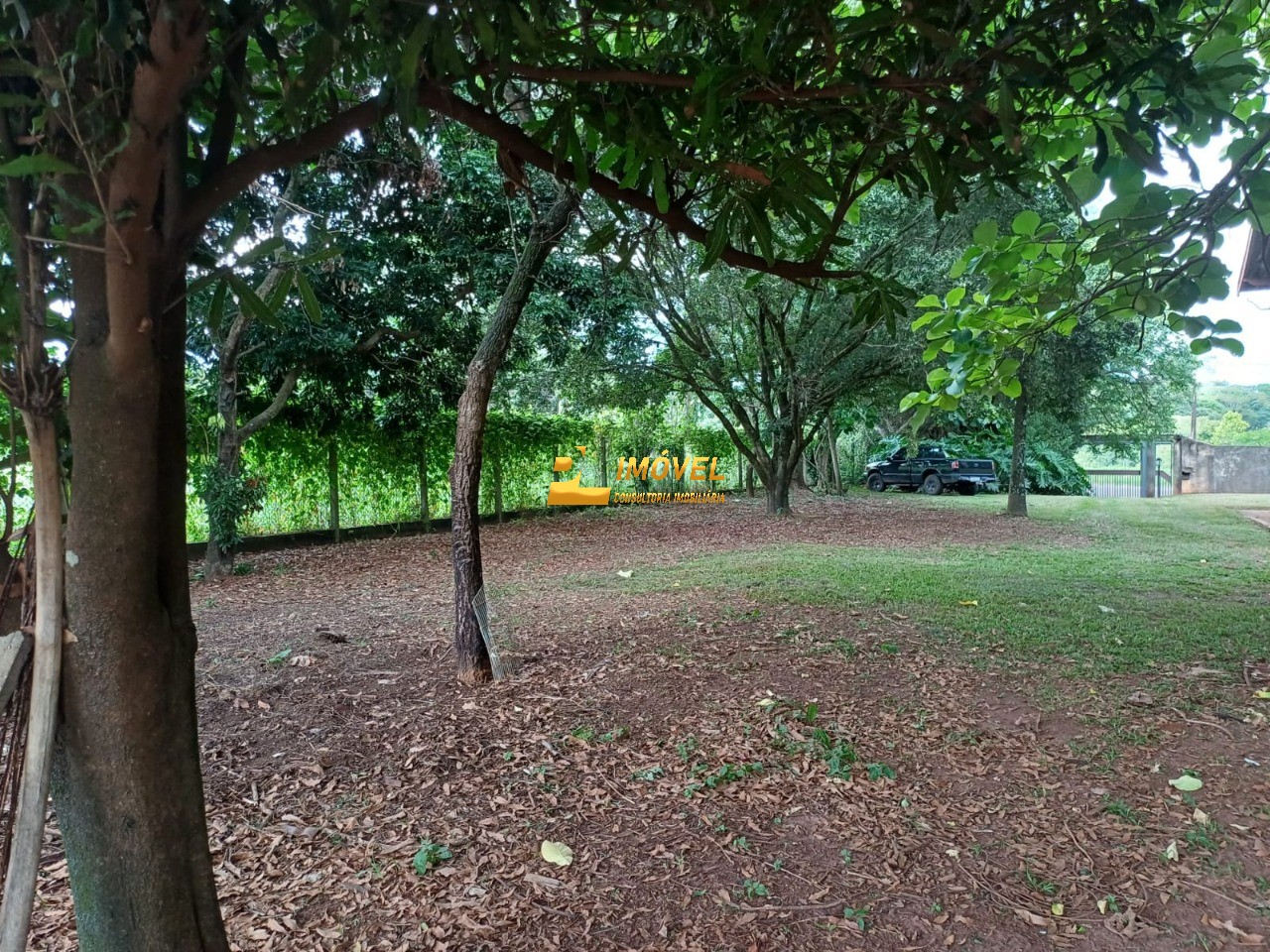Casa, 3 quartos, 300 m² - Foto 5
