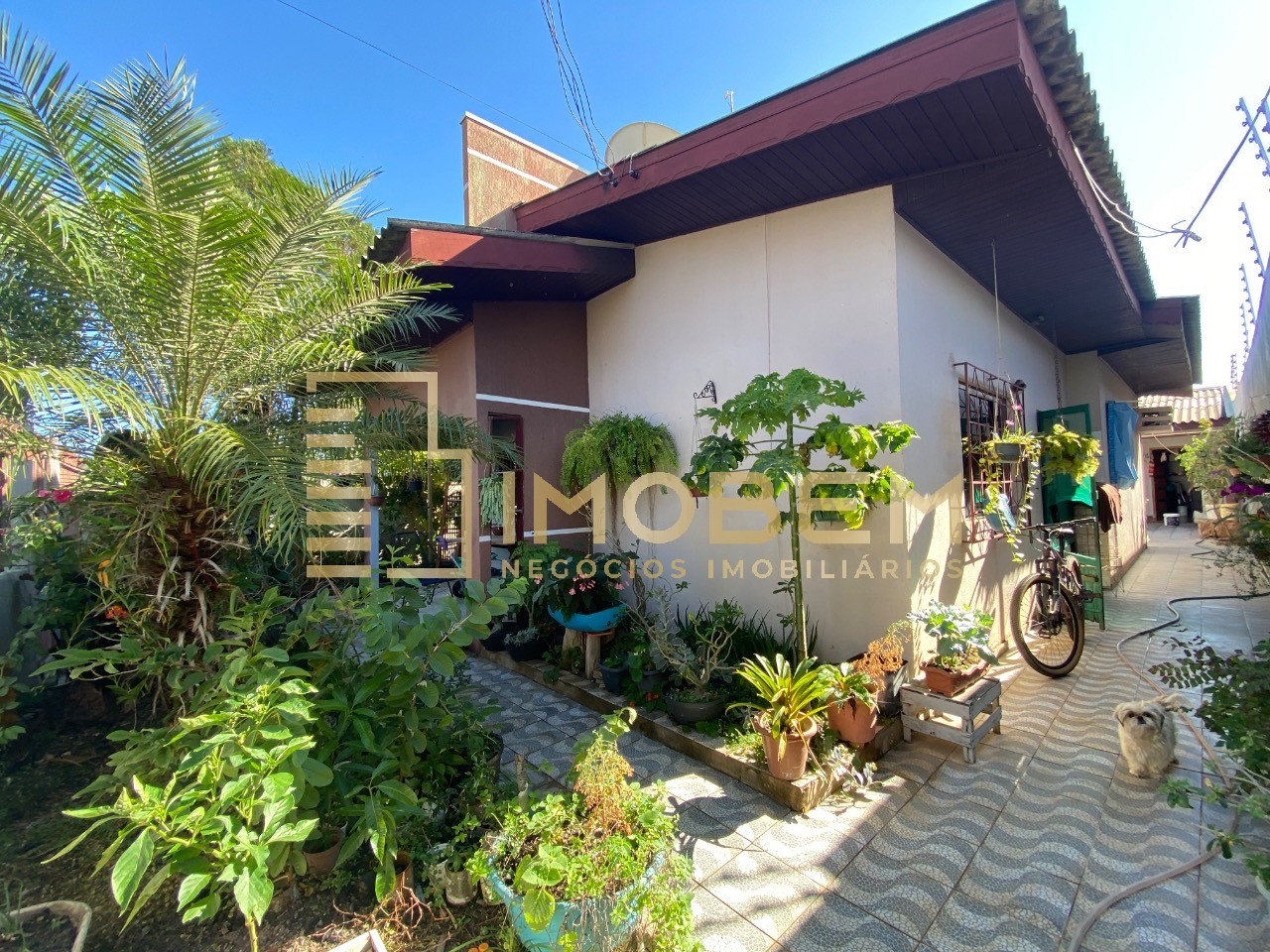 Casa, 4 quartos - Foto 4