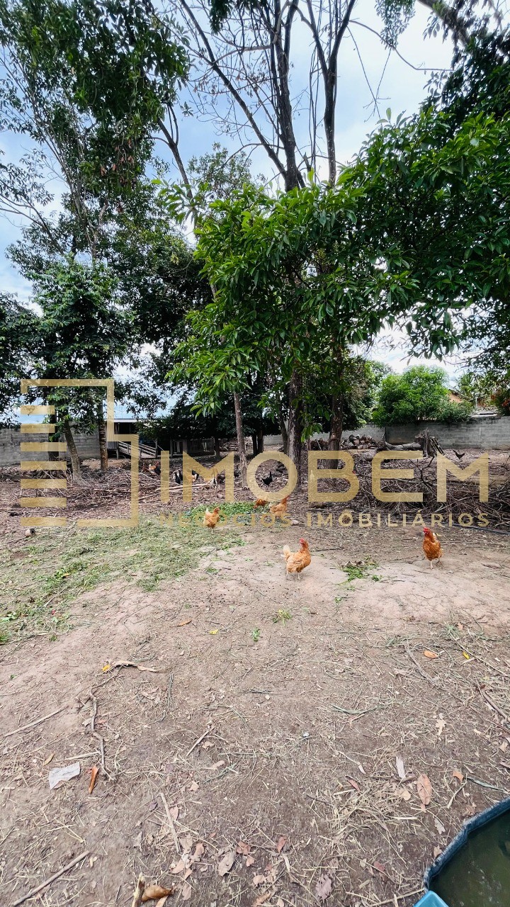 Chácara, 6 quartos - Foto 12