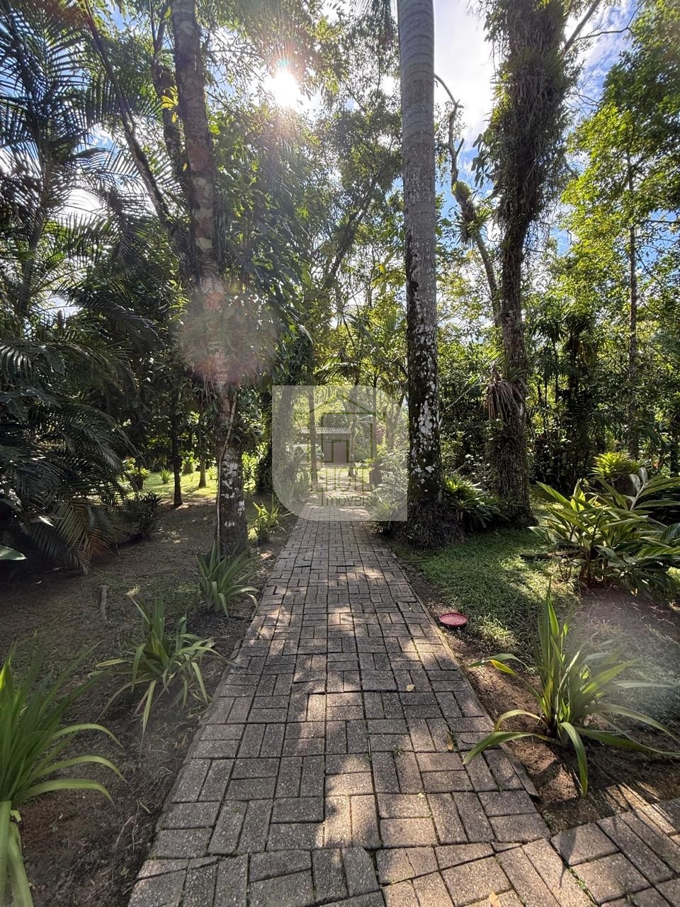Casa, 3 quartos - Foto 49