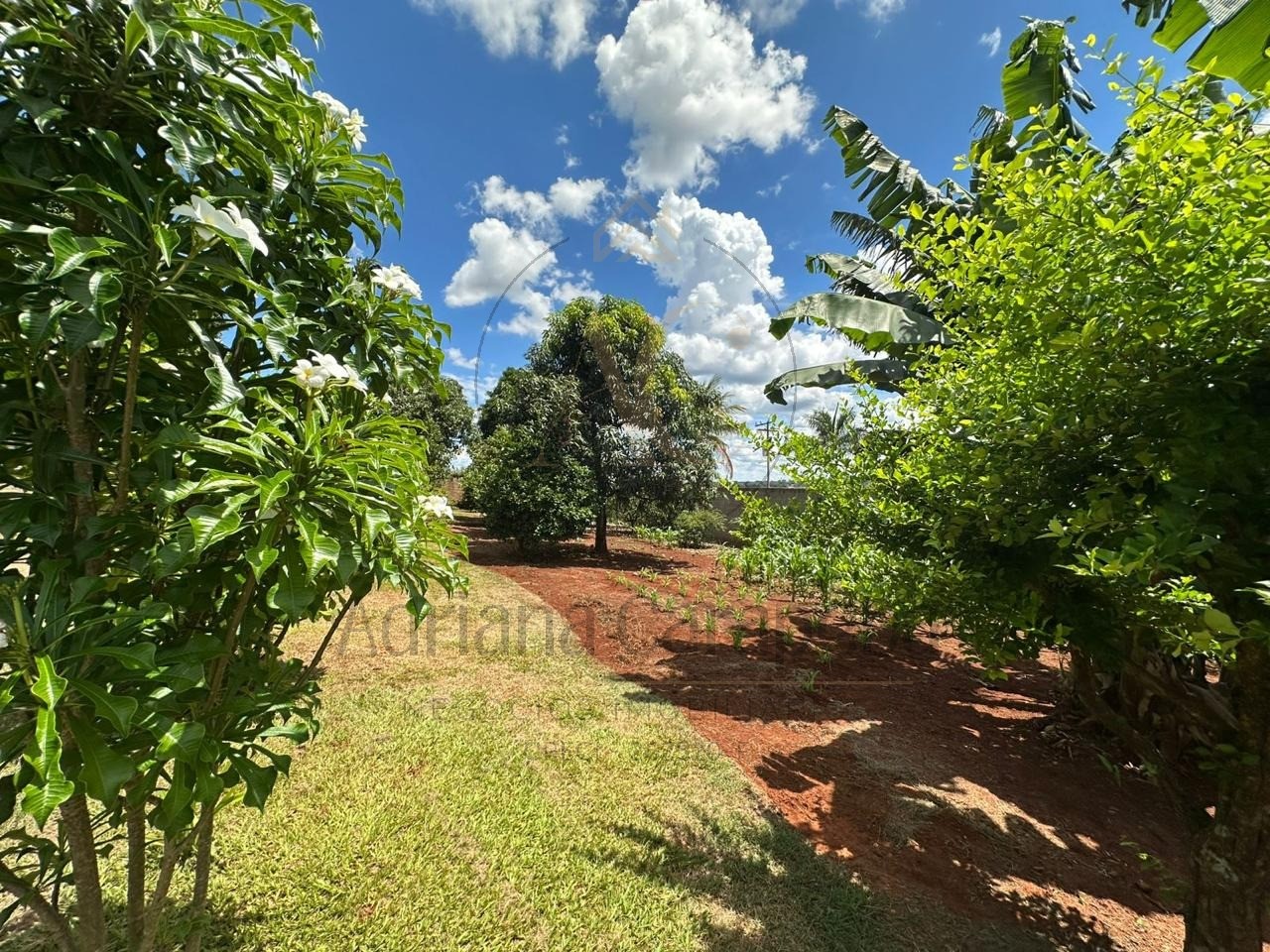 Chácara, 3 quartos - Foto 23