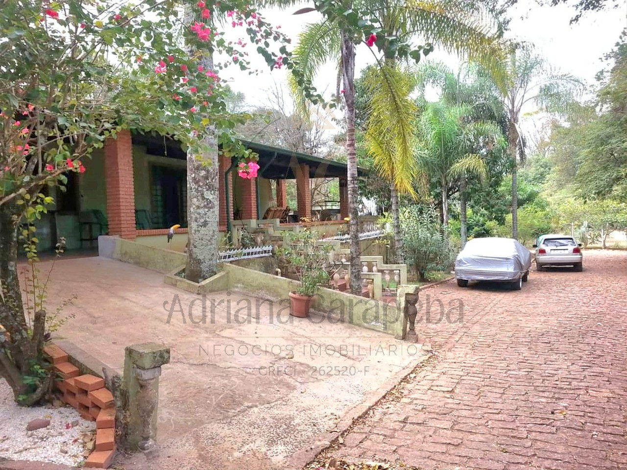 Chácara, 5 quartos - Foto 1
