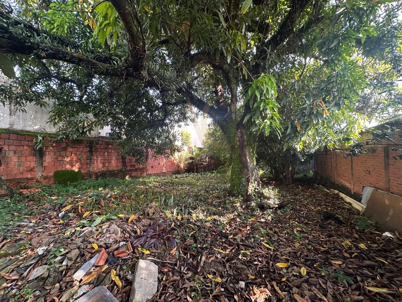 Terreno, 286 m² - Foto 2