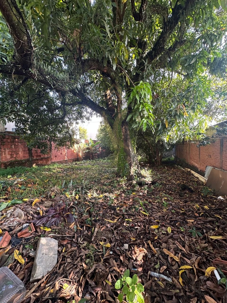 Terreno, 286 m² - Foto 3